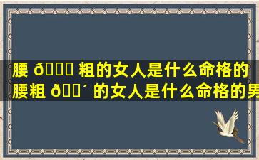 腰 🐈 粗的女人是什么命格的（腰粗 🌴 的女人是什么命格的男人）